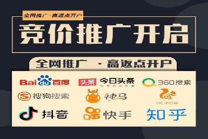 百度推广收费策略：案例分析及优化建议